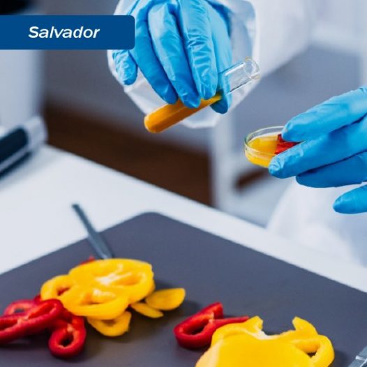 Salvador:  RDC 331e IN 60/ANVISA/2019 e Interpretação das Análises Microbiológicas de Alimentos e as novas Legislações 