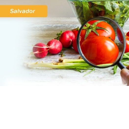 Salvador: Especialização em Segurança dos Alimentos em Serviços de Alimentação