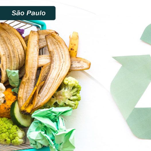 São Paulo:  Gestão da Qualidade para  a Redução do Desperdício